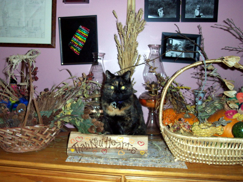 Picture of a cat among Thanksgiving baskets