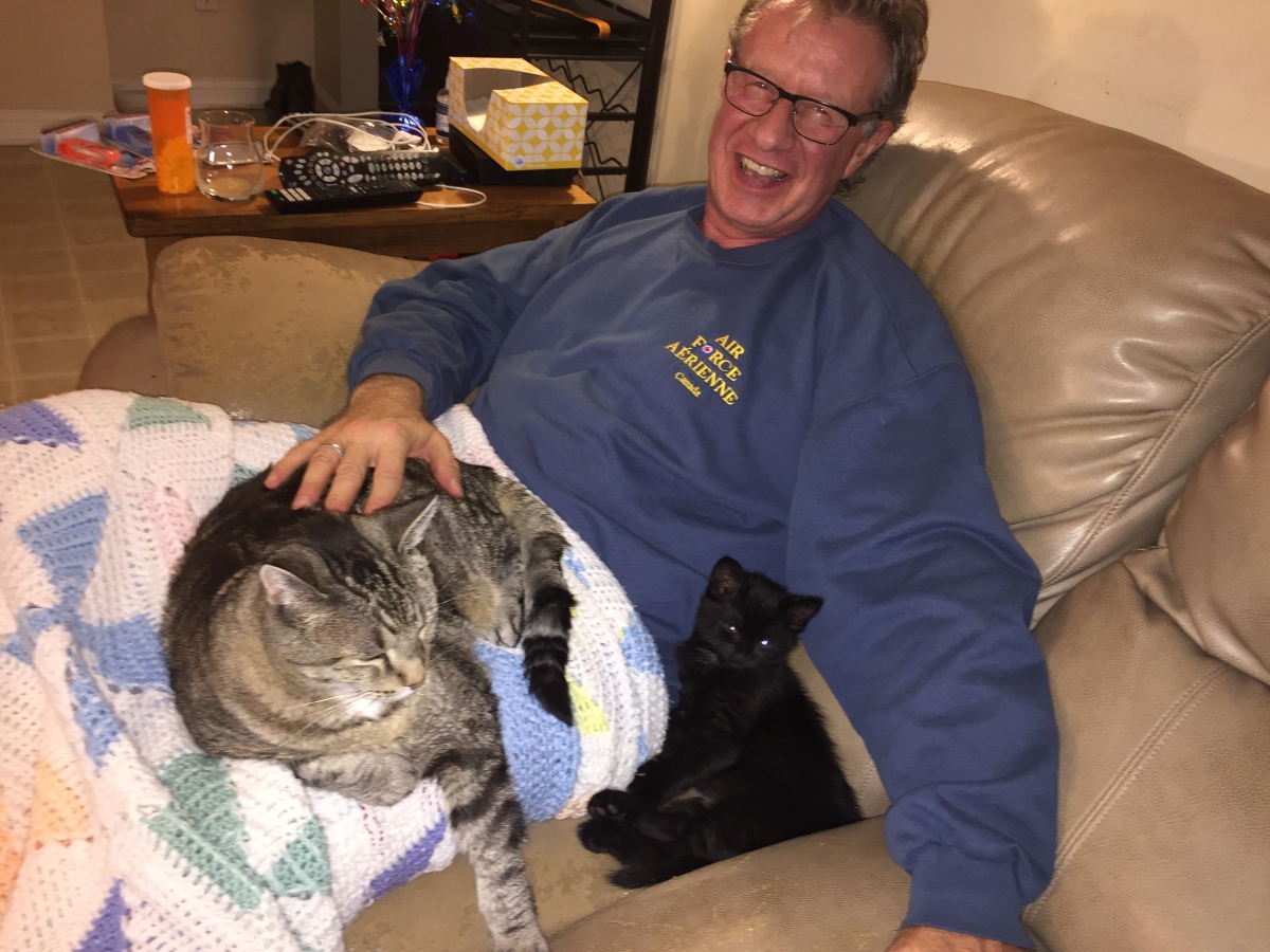 Old days: Jerry with cats in 2017