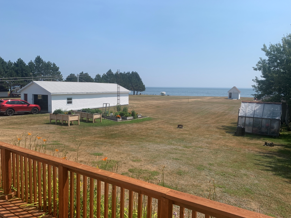 Boomers: Iwanus yard 2025-08-12, with garden and greenhouse in the foreground and the neighbour's garage in the background