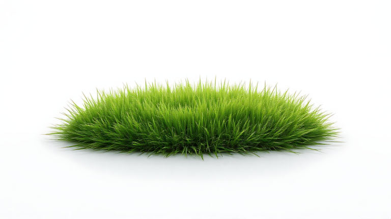 Read more about the article Protected: A patch of green